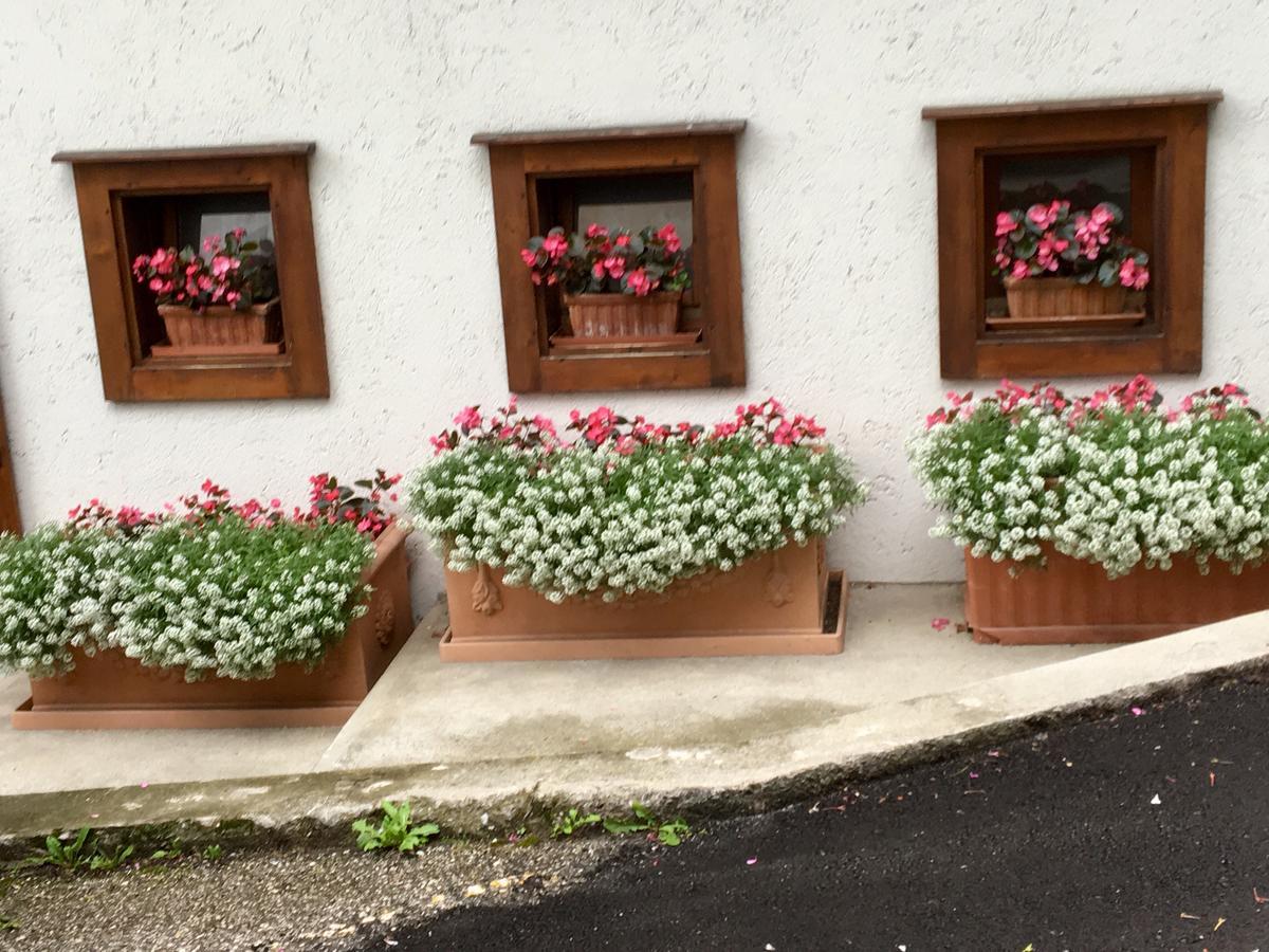 Albergo Meuble Tarandan フォルニ・ディ・ソプラ エクステリア 写真