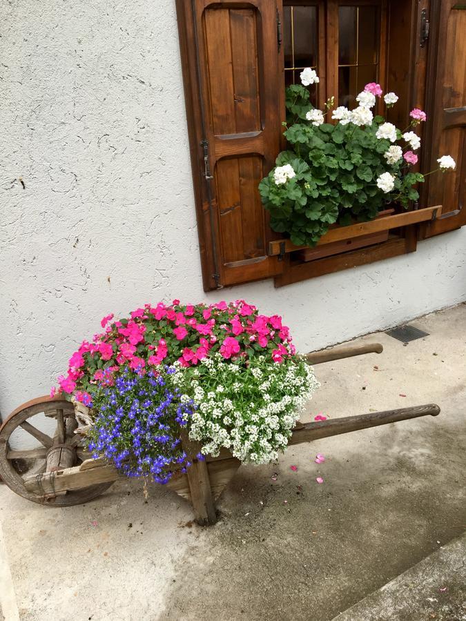 Albergo Meuble Tarandan フォルニ・ディ・ソプラ エクステリア 写真